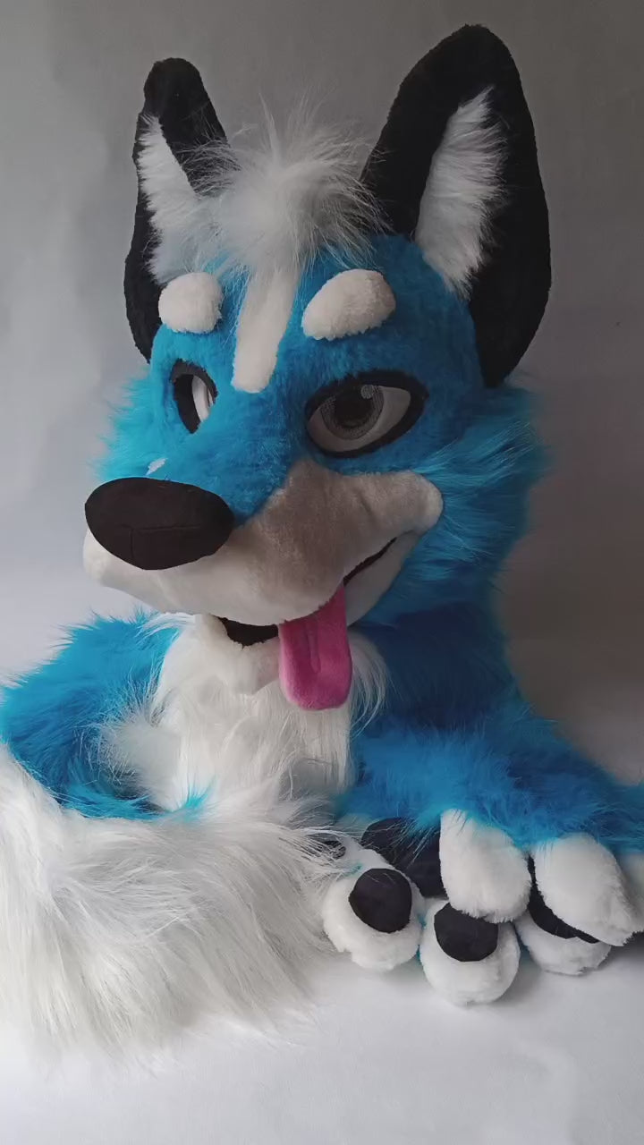 Blue husky fursuit head, hand paws, tail - size XL Premade UA