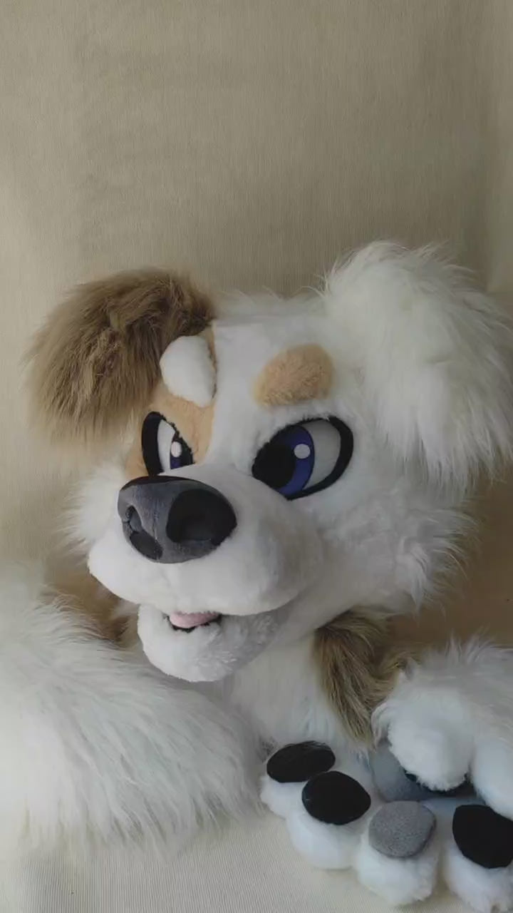 White Street Dog Fursuit Set – Head, Hand Paws & Tail, One Size M/L for Furry Cons & Cosplay
