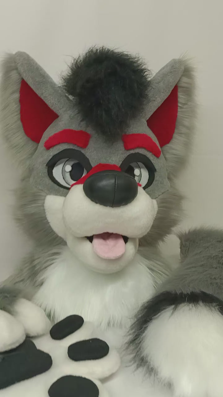 SALE 10%OFF Gray red wolf husky fursuit head, hand paws, tail - XL size PREMADE US
