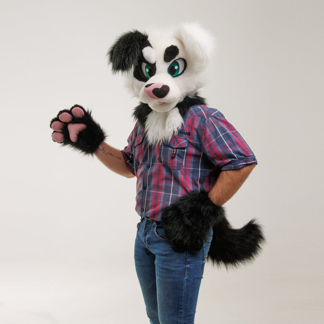 Black white premade dog fursuit border collie Oneandonlycostumes on a model