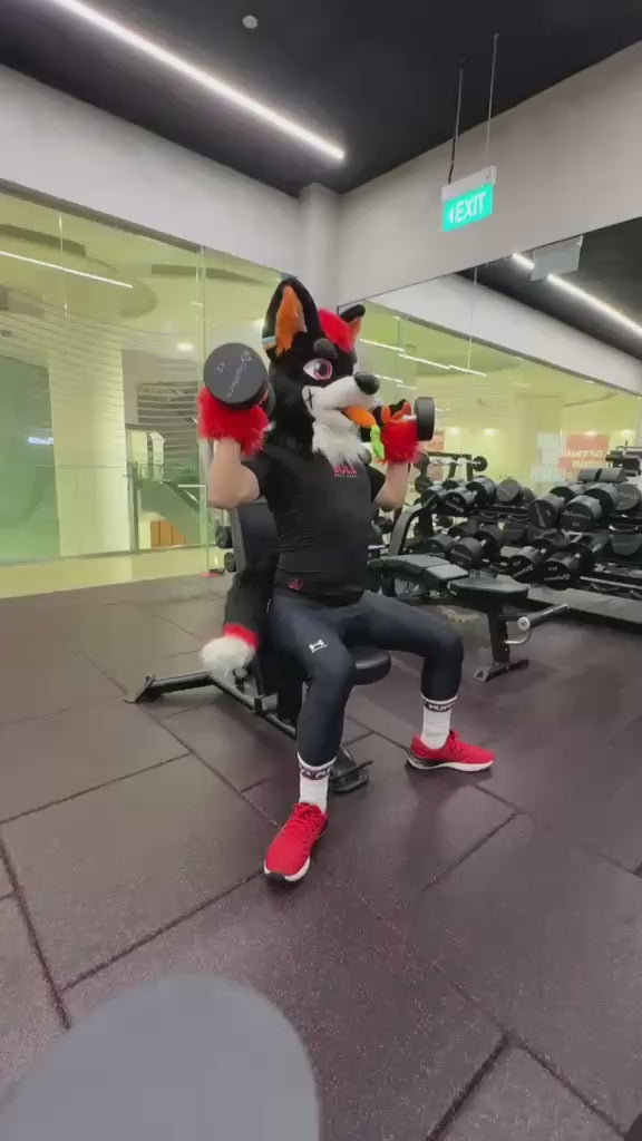 Black red wolf husky fursuit plus size - head, hand paws, tail for sale