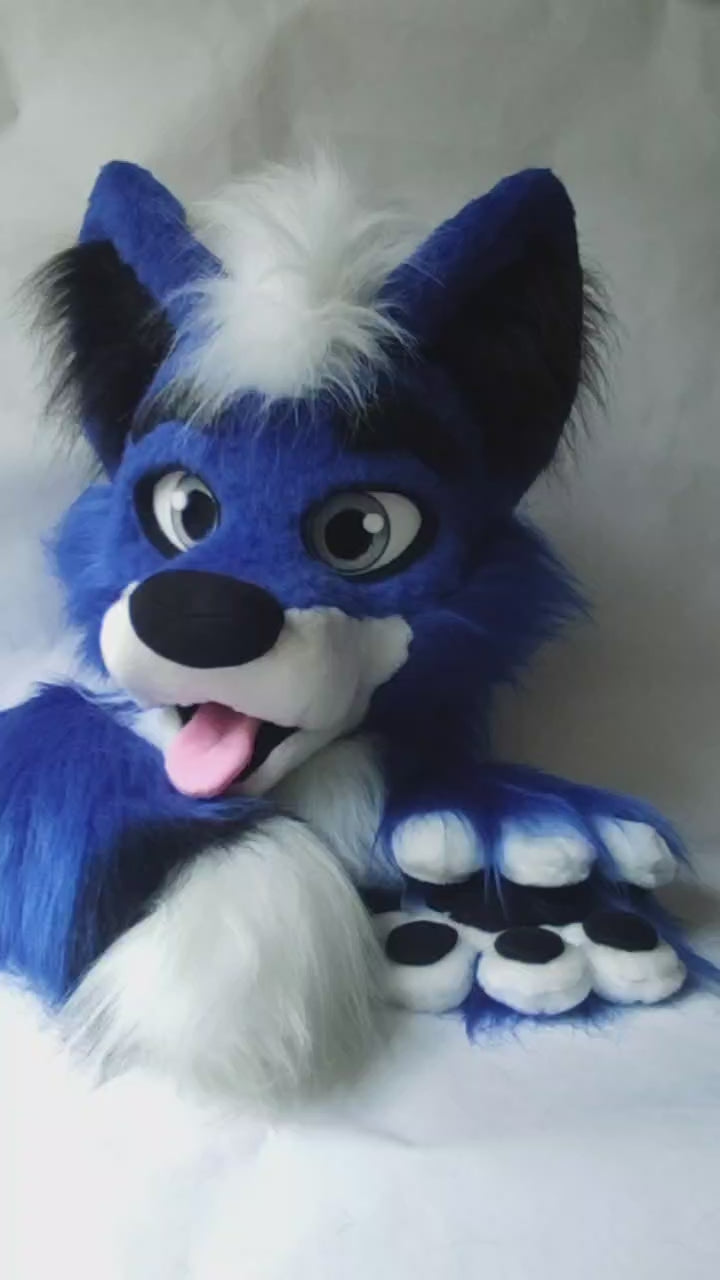 Blue wolf husky fursuit head, hand paws, tail - size XL Premade UA