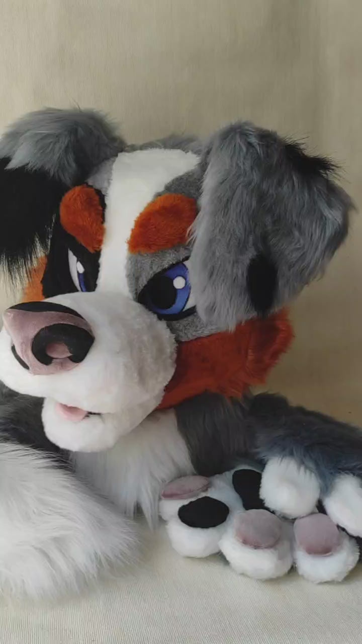 Grey australian shepherd Dog Fursuit Set – Head, Hand Paws & Tail, One Size M/L for Furry Cons & Cosplay