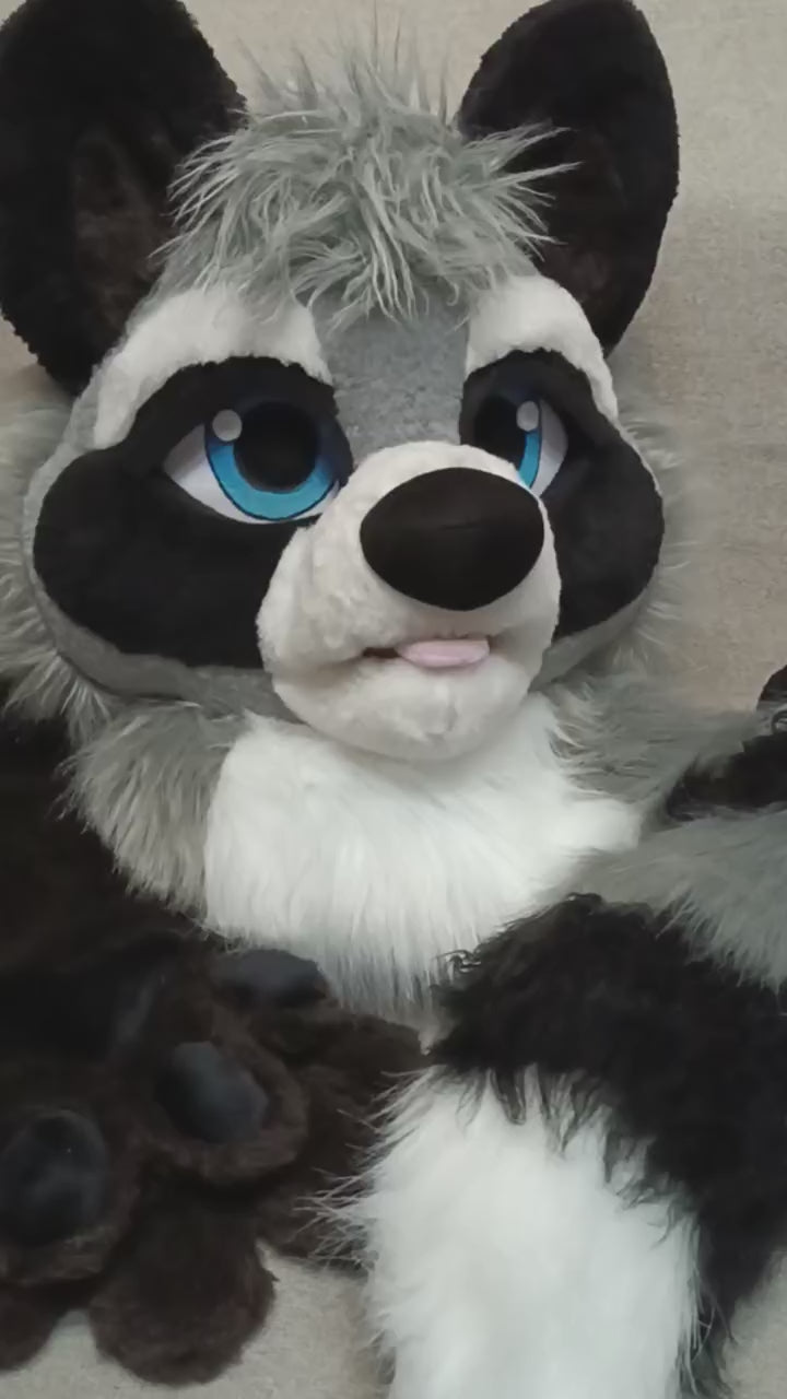 Grey raccoon fursuit head, hand paws and tail for sale