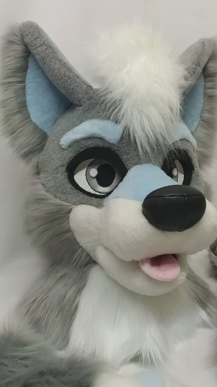 Gray wolf husky fursuit head, hand paws, tail - XL size PREMADE US