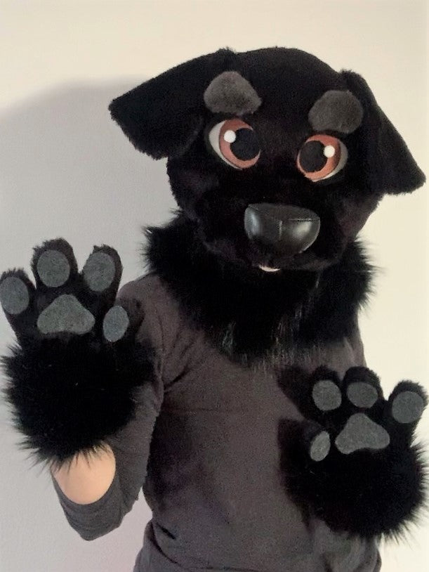 labrador fursuit oneandonlycostumes