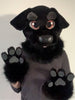 black labrador fur suit